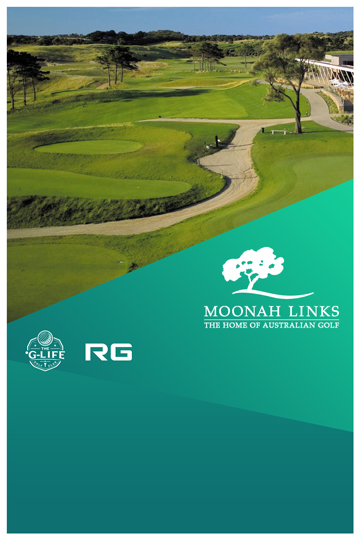 G-TOUR W41 Champion(9)