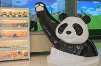 零門檻玩轉(zhuǎn)室內(nèi)高爾夫，廈門胖達打造3000㎡全民運動空間！