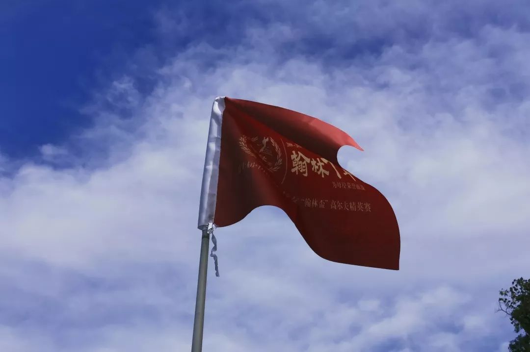 1568692480162203.jpg 15.jpg