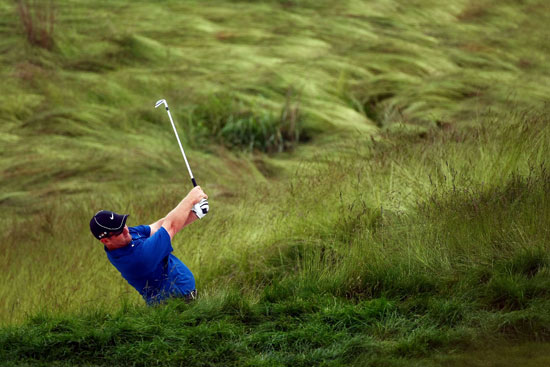 1637313086609439.jpg 高爾夫長草.jpg